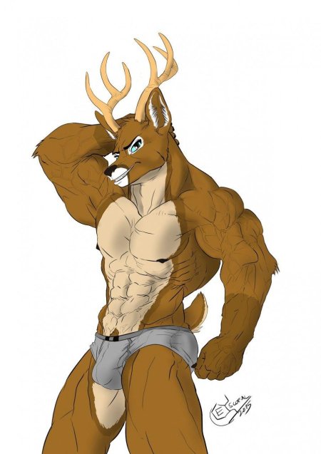 Мускулистый олень