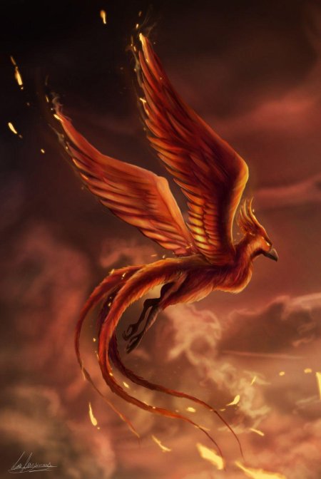 Мифологические существа феникс