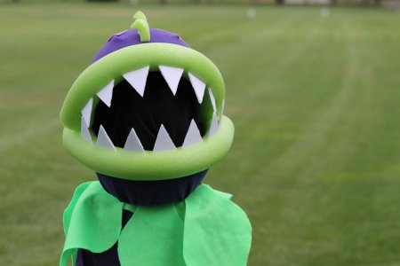 Костюм растения против зомби