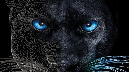 Черная пантера с голубыми глазами