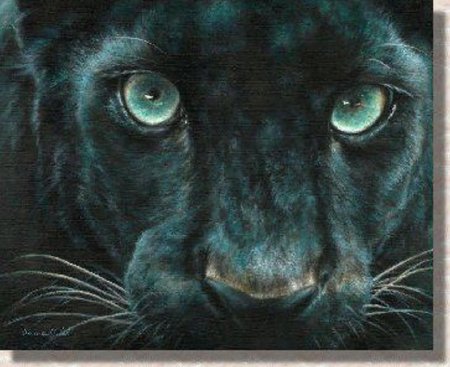 Чекменева черная пантера с бирюзовыми глазами