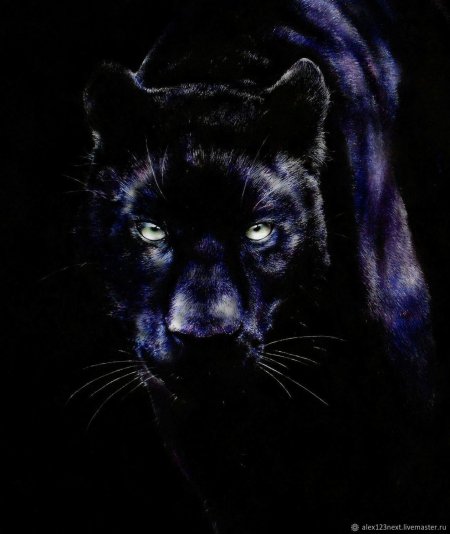 Картина чёрная пантера