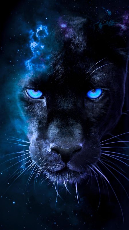 Черная пантера