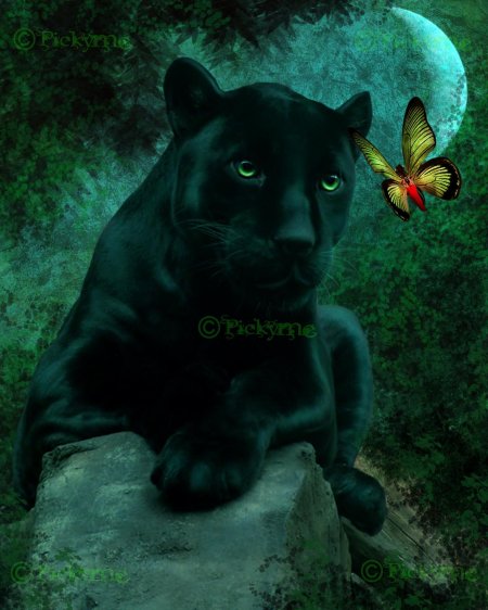 Пантера с зелеными глазами