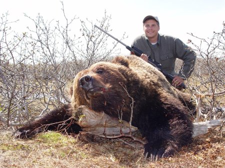 Бурый медведь Кадьяк