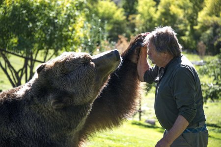 Медведь барт