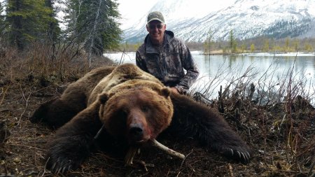 Медведь гризли на аляске