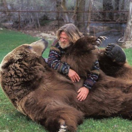 Медведь барт