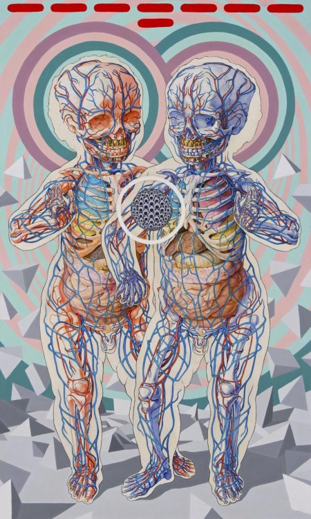 Анатомия человека арт