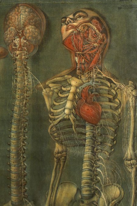 Жак фабьен готье даготи