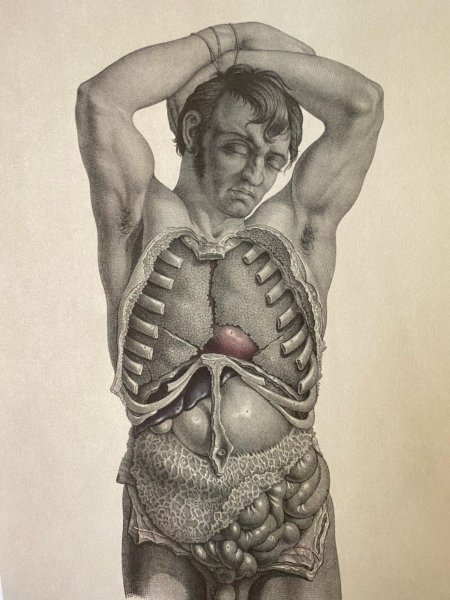 Кристофер джозеф. анатомия