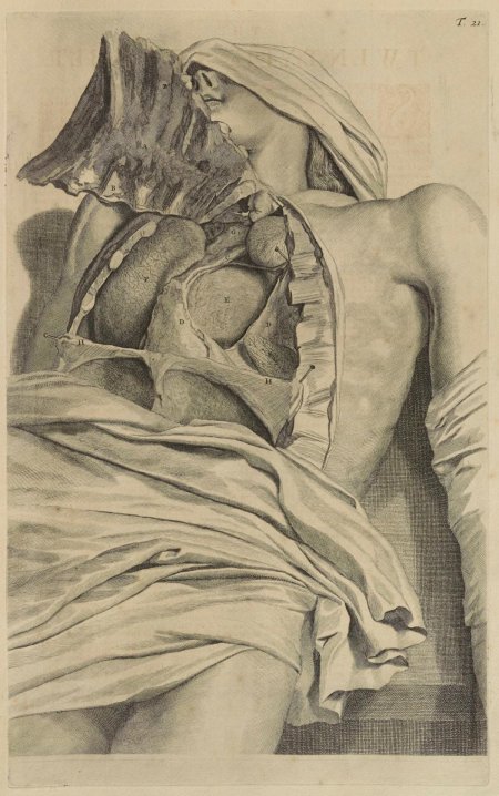 Анатомический атлас бидлоо