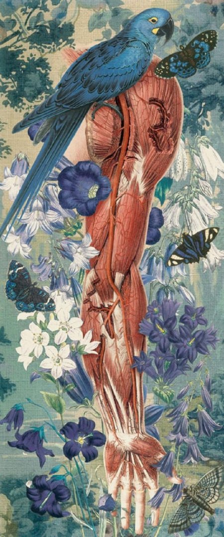 Хуан гатти анатомические коллажи