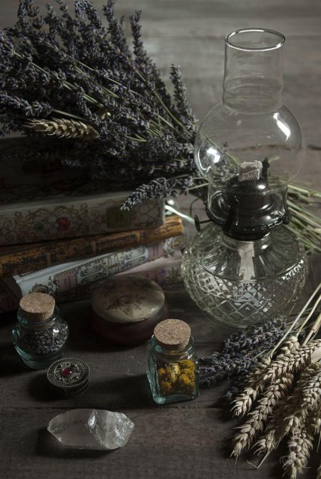 Эстетика лесной ведьмы травницы