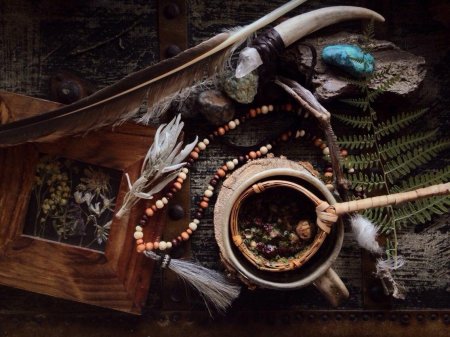 Обитель лесной ведьмы