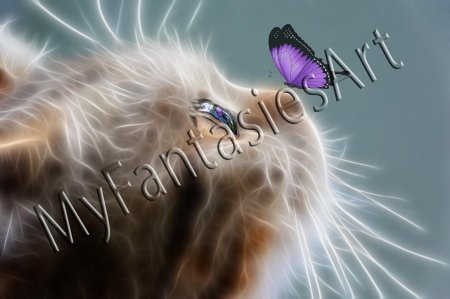 Фэнтези кошки