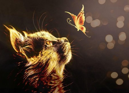 Cat and butterfly