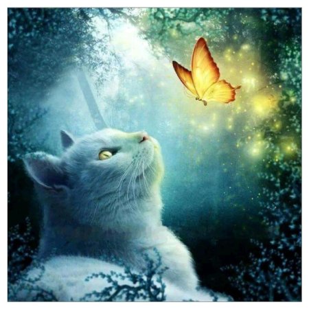 Кошка фэнтези