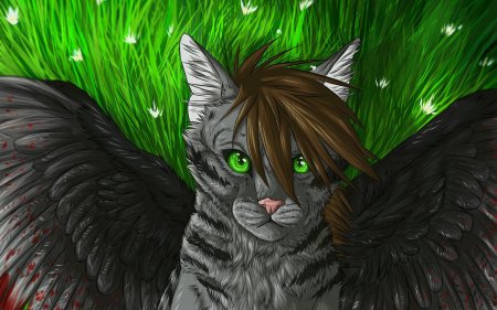 Коты воители вранокрыл