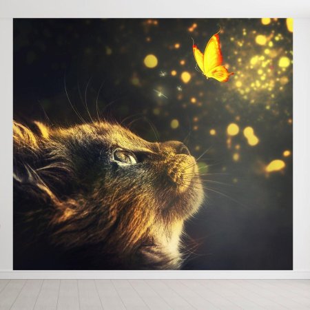 Кот бабочка