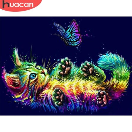 Радужный кот