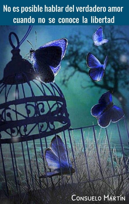 Клетка для бабочек