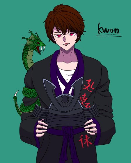 Ниндзяго аниме