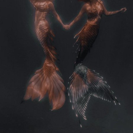 Хвост русалки