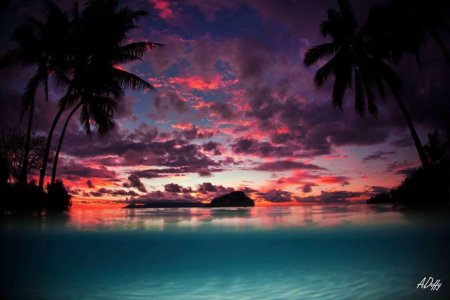 Море пальмы закат