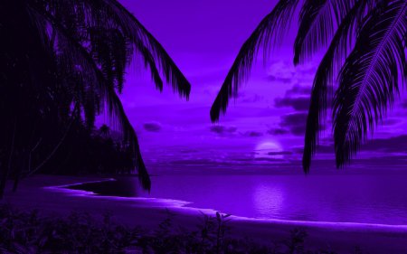 Фиолетовые закаты