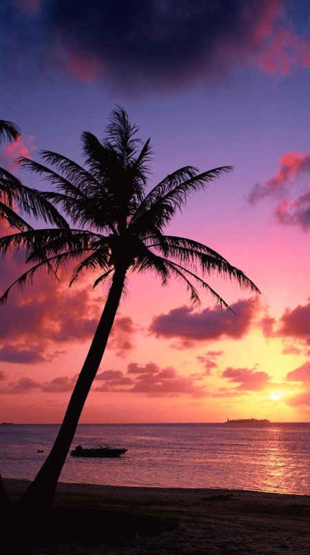 Пальмы на берегу