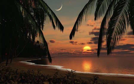 Закат пальмы