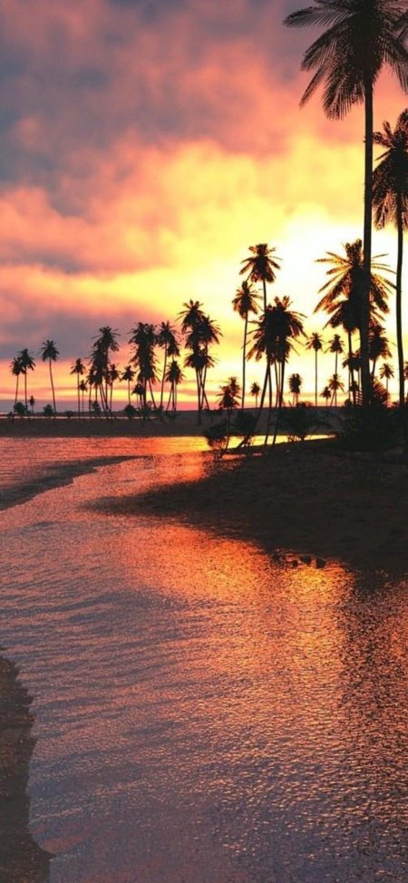 Море пляж закат