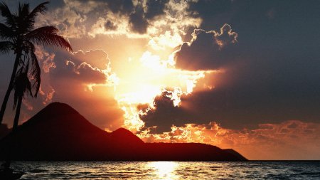 Пальмы на закате