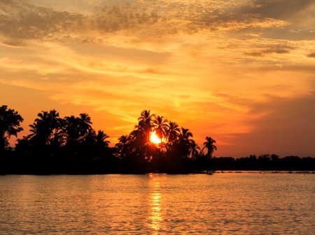 Пальма закат