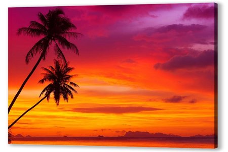 Пальмы на закате