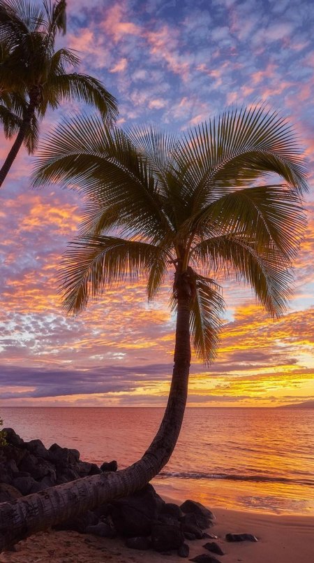 Сансет бич гавайи