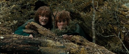 Пиппин властелин колец