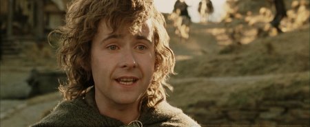 Властелин колец пипин