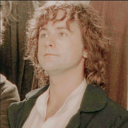 Мерри властелин колец