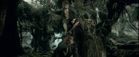 Властелин колец энты