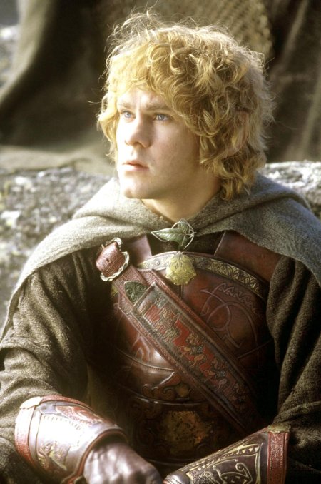 Мериадок брендибак