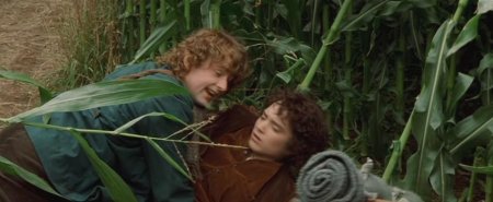 Властелин колец фродо