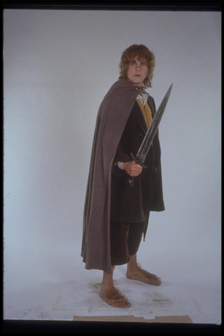 Пипин властелин колец