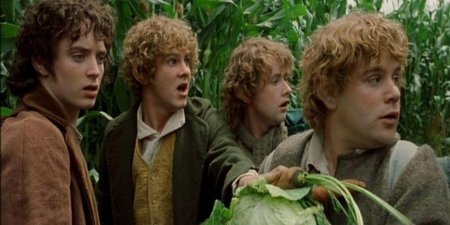 Властелин колец хоббит