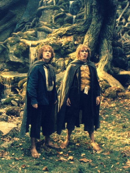 Хоббиты фродо сэм мерри пиппин