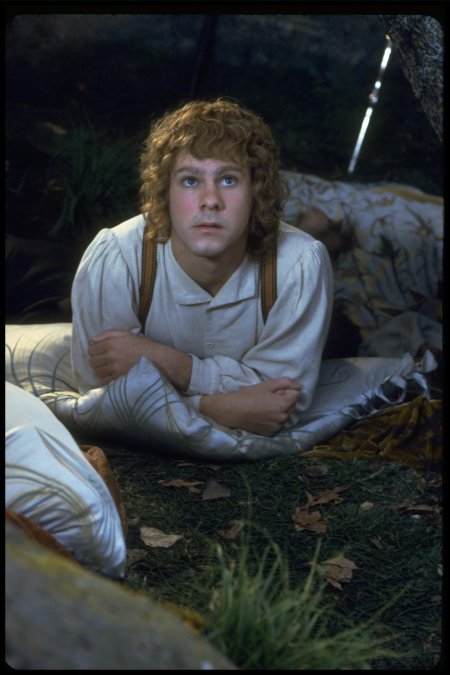 Мериадок брендибак