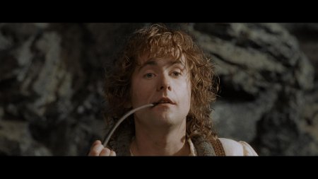 Пипин хоббит