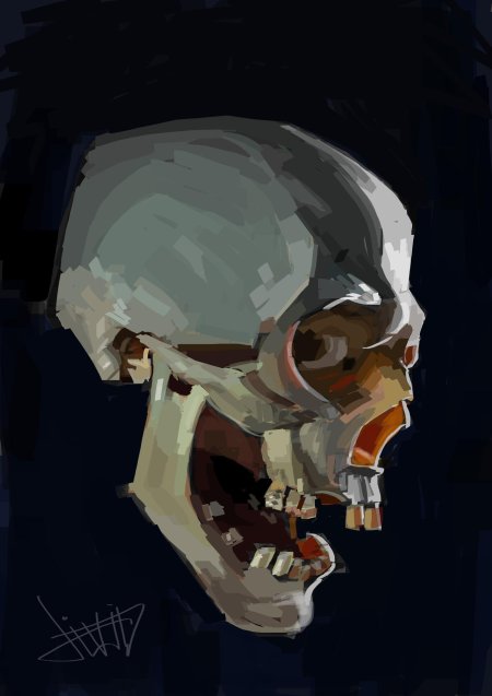 Череп референс