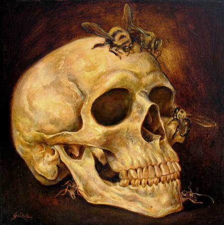 Художник danny galieote